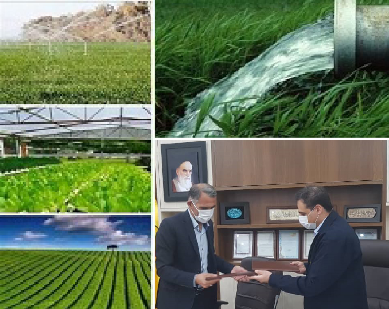 انعقاد تفاهم نامه همکاری شرکت توزیع برق استان با سازمان جهاد کشاورزی در زمینه مصرف بهینه برق